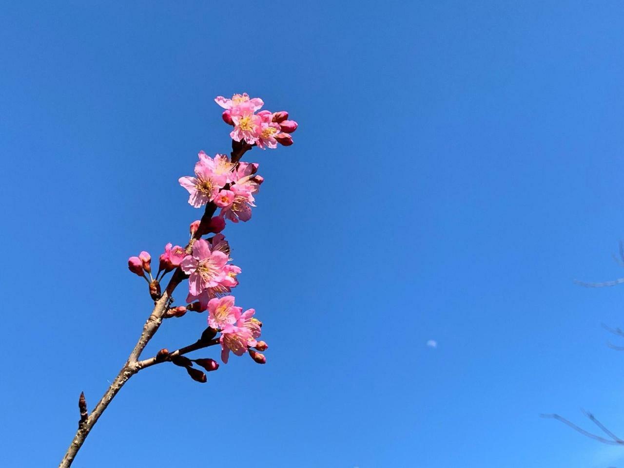 清境天祥茶行景观民宿 仁爱乡 外观 照片